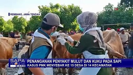 Penyakit Mulut dan Kuku Kembali Menjangkit Sapi-Sapi di Rembang dan Kediri