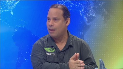 Ambientalistas piden que se hagan proyectos amigables con el ambiente