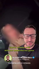 Uso de bombinhas para afastar gatos faz Miss Araucária perder o título