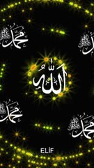 Holy Quran with a beautiful voice