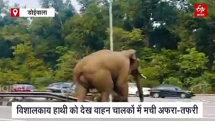 Hundreds of vehicles were parked at the toll in the capital Dehradun
