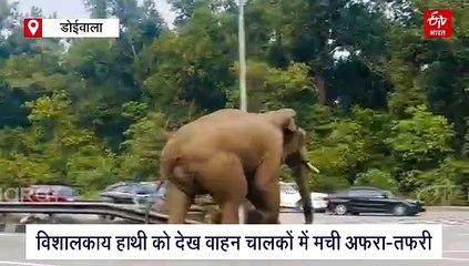 Hundreds of vehicles were parked at the toll in the capital Dehradun