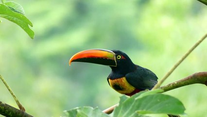 The best destinations to travel solo in 2025: from Sri Lanka to Romania