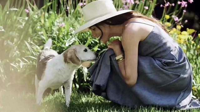 Meghan Markle, lo struggente addio al cane Guy: «Ho pianto troppe lacrime»