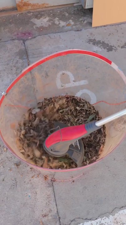 Sustainable Style! Shoes Crafted from Recycled Dry Leaves