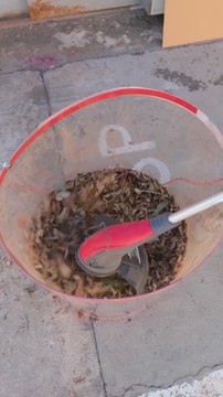 Sustainable Style! Shoes Crafted from Recycled Dry Leaves