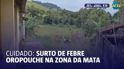 Cidade da Zona da Mata enfrenta surto de febre oropouche