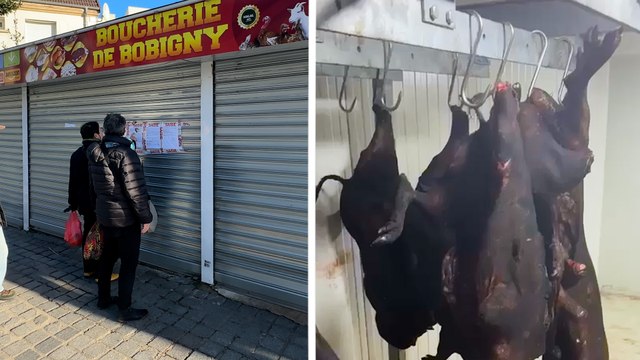 « On n’est pas respectés ! » : des sangliers retrouvés dans une boucherie halal du 93