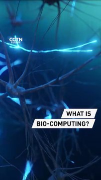 What is bio-computing?
