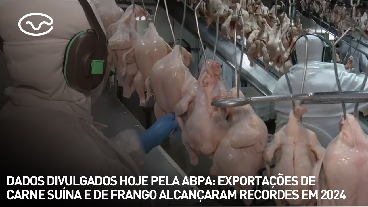 Dados divulgados pela ABPA: exportações de carne suína e de frango alcançaram recordes em 2024