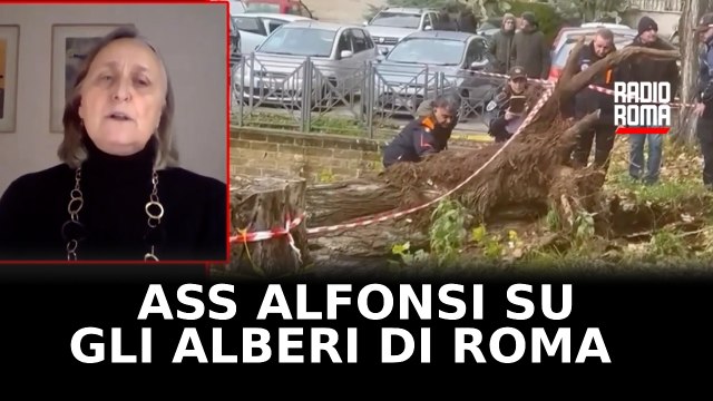 Ass. Alfonsi: In 5 anni tutti gli alberi di Roma saranno controllati