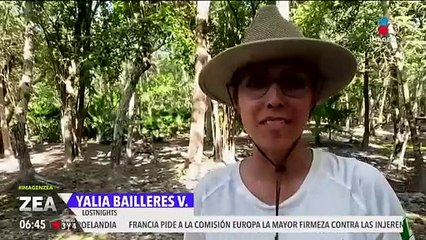 Yalia Bailleres promueve la conciencia ambiental en Tulum