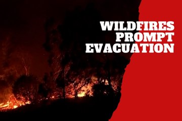 Wildfires force mass evacuations in Los Angeles area