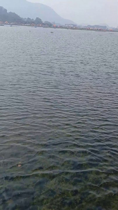 Water under bamboo bridge.