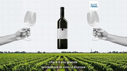 Gennaio senza alcol, in quali Paesi europei l'iniziativa ha più successo