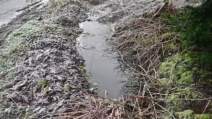 A park home site near Wolverhampton can not seem to keep nature at bay as it keeps flooding.