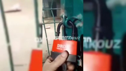 Funcionário de zoológico é devorado vivo por leões ao gravar vídeo para impressionar a namorada