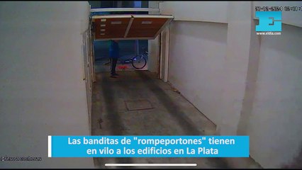 Las banditas de "rompeportones" tienen en vilo a los edificios en La Plata