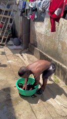 Comedy shorts video 2025 | Biggie's Funniest Moments 🤣 | Hilarious Comedy Sh