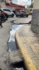 denuncian aguas negras