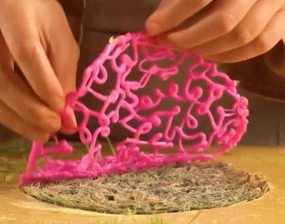 Nature’s threads! DIY corset decorated with real plant roots!