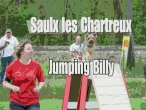 concours d'agility saulx les chartreux