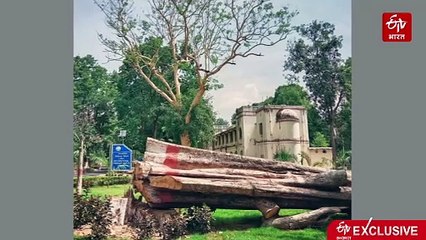 पागलों के बीच 547 दिन रह कर लिखा उपन्यास, इसे कहते हैं 'आउट ऑफ मैडनेस'