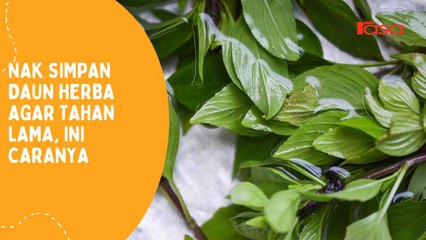 Nak Simpan Daun Herba Agar Tahan Lama, Ini Caranya