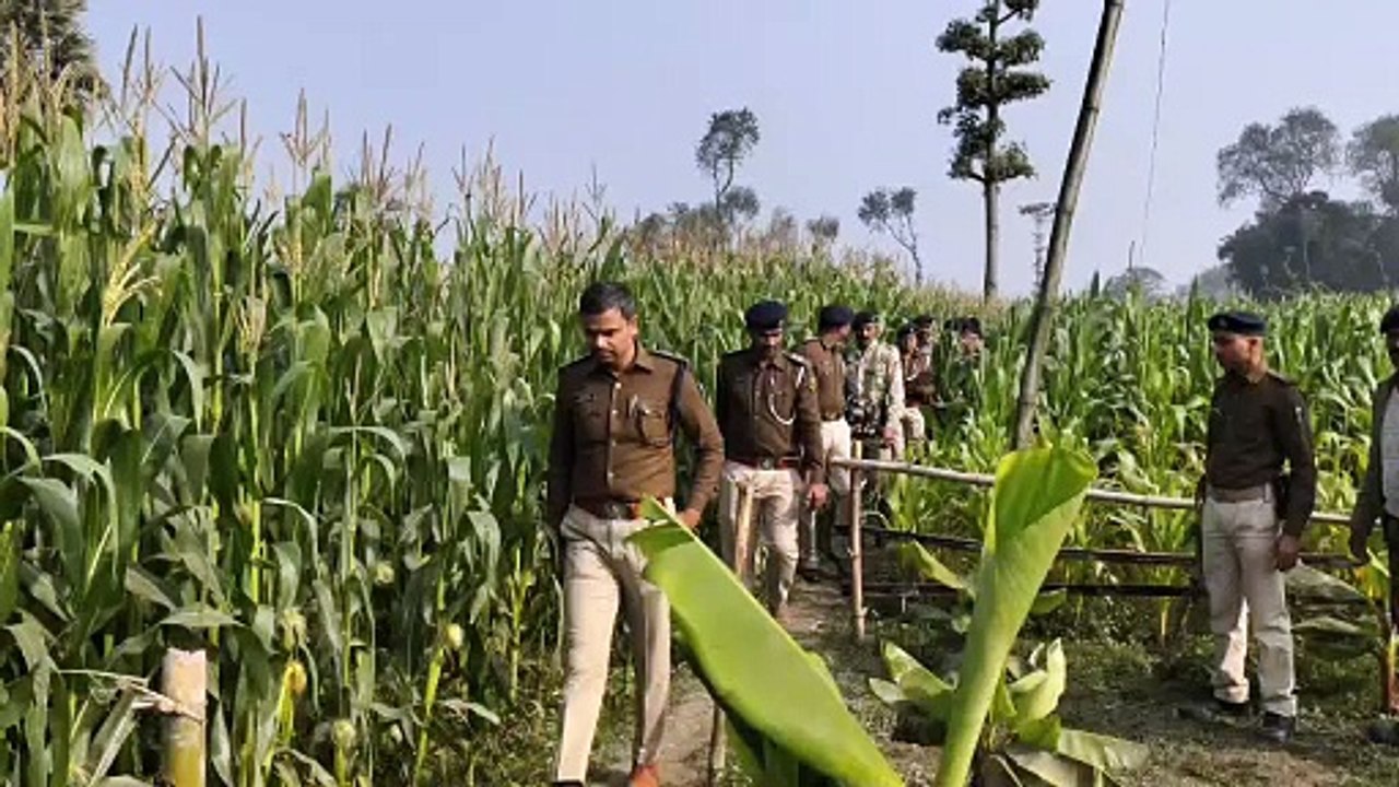 Katihar Crime News_मक्के के खेत मे मिला किशोरी का शव_एसपी ने मौके पर पहुँचकर घटनास्थल का लिया जायजा... जानिये , क्या है पूरा मामला