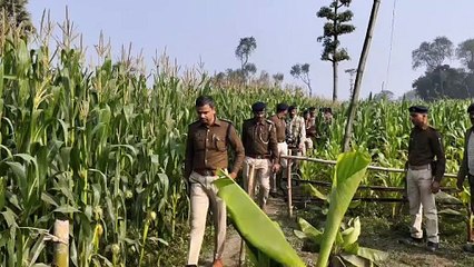 Katihar Crime News_मक्के के खेत मे मिला किशोरी का शव_एसपी ने मौके पर पहुँचकर घटनास्थल का लिया जायजा... जानिये , क्या है पूरा मामला