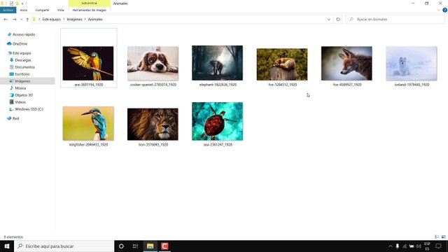 No puedo ver la vista en miniatura de mis imagenes Windows 10