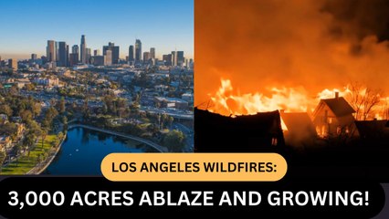 Los Angeles Wildfires: 3,000 Acres Ablaze and Growing