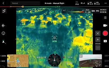 Cão resgatado com drone térmico ao fim de 7 dias desaparecido. Veja