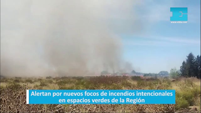 Alertan por nuevos focos de incendios intencionales en espacios verdes de la Región