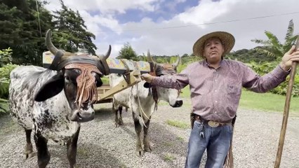 José María Molina: guardián de las tradiciones del campo y la música
