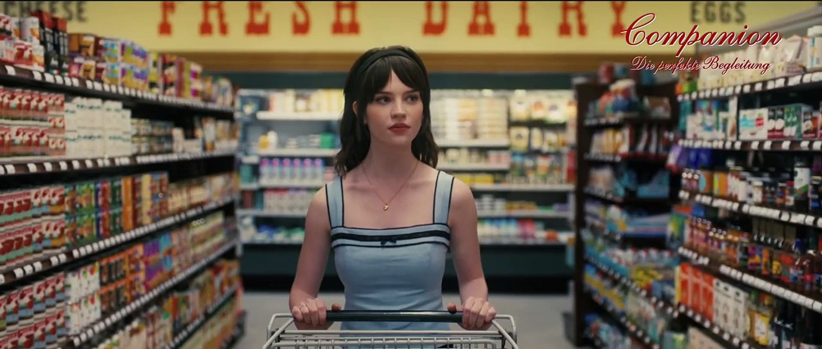 COMPANION DIE PERFEKTE BEGLEITUNG Film