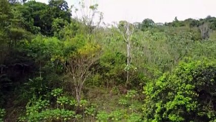 SQUATTERS, QUARRIES  DESTROYING FOREST RESERVES