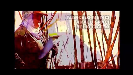 Canavial de Paixões Capítulo 91