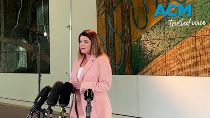 Senator Hanson-Young fears ’tech tycoons' could ‘infiltrate’ Australian elections