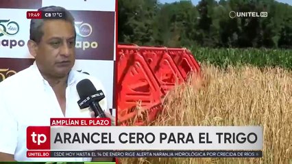 Anapo: Arancel cero para importación de trigo y harina debe complementarse con estímulos para el agro