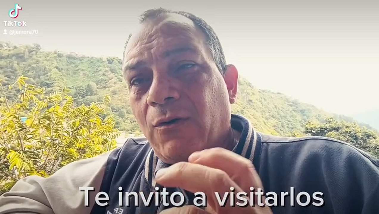 Abejas sin aguijón