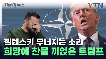 우크라 '나토 가입' 최대 복병 등장...트럼프가 끼얹은 찬물 [지금이뉴스] / YTN