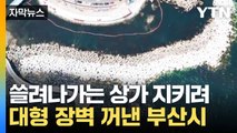 [자막뉴스] 마린시티 월파 피해에 결국...700억 투입한 부산시 / YTN
