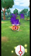 Pokémon GO-Shadow Magikarp