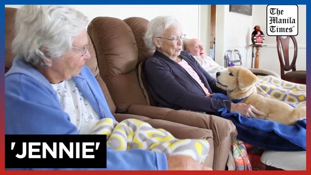 A lifelike robotic puppy designed to comfort seniors with dementia