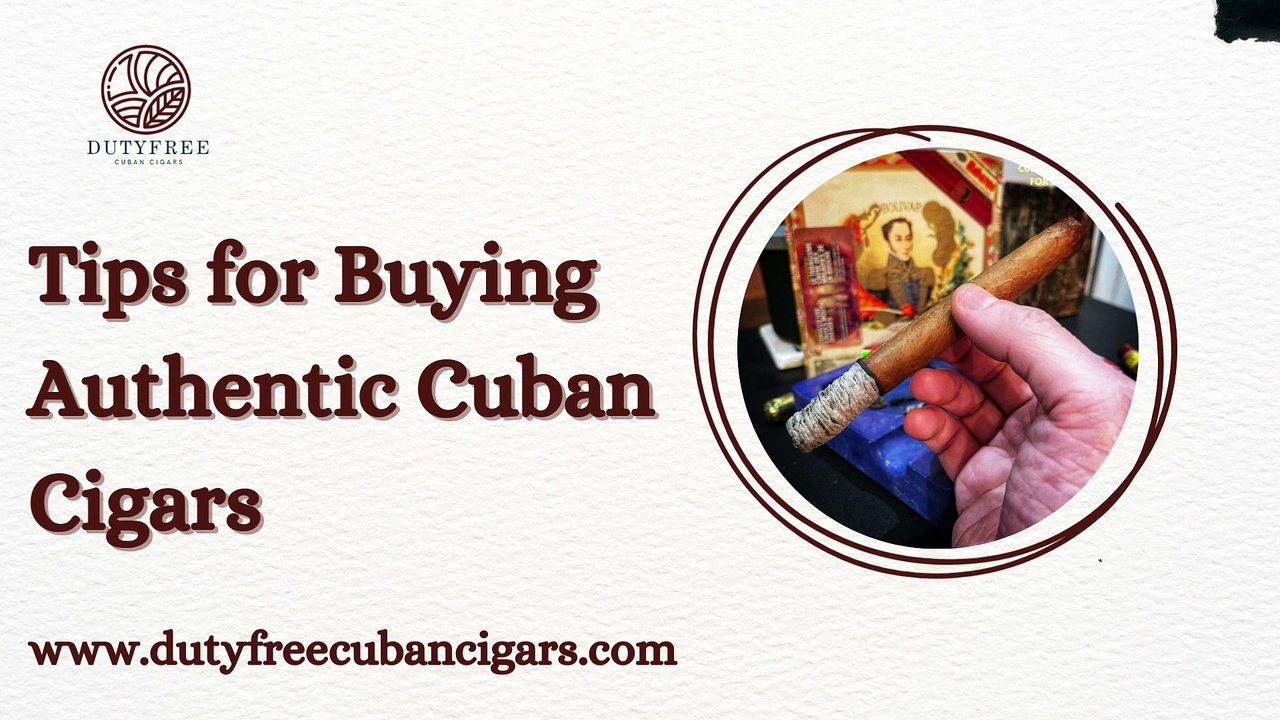 Tips for Buying Authentic Cuban Cigars