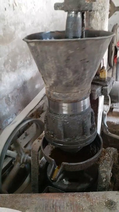 Oil Processing Machine Pakistani Village