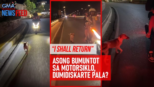 “I shall return” Asong bumuntot sa motorsiklo, dumidiskarte pala? | GMA Integrated Newsfeed