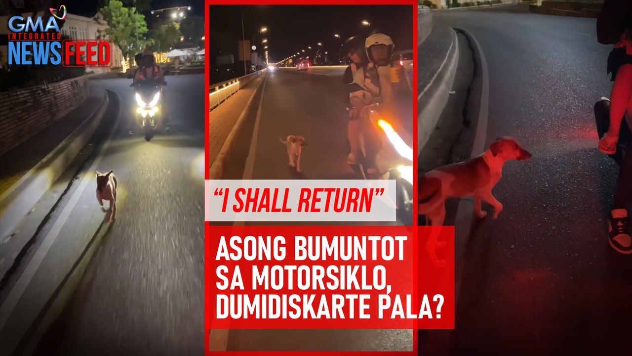 “I shall return” Asong bumuntot sa motorsiklo, dumidiskarte pala? | GMA Integrated Newsfeed
