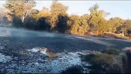 पचमढ़ी में न्यूनतम तापमान होने से घास के मैदान पर जमी ओस की बुंदे